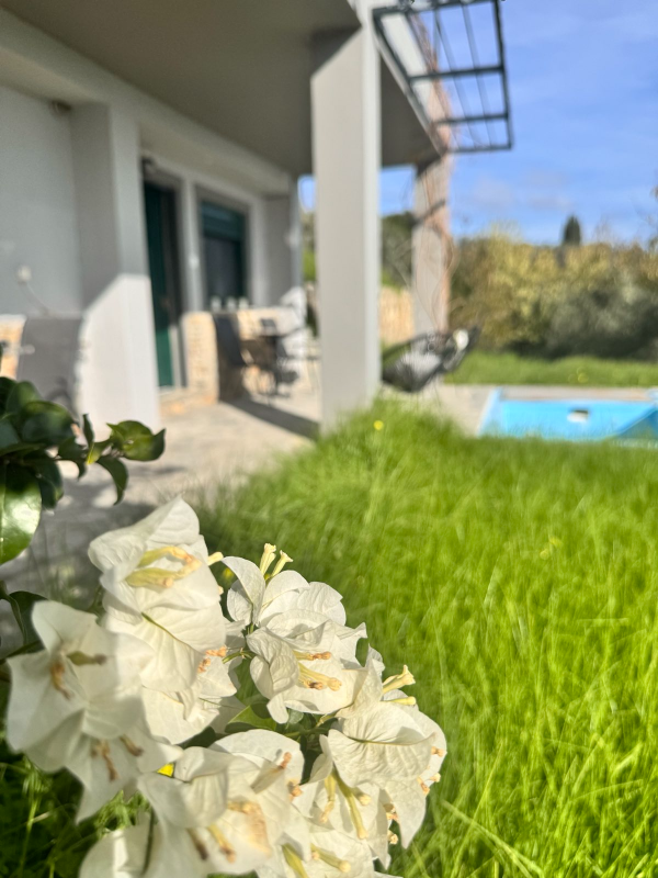 ΔΩΜΑΤΙΟ 60τμ ROOM 2 8